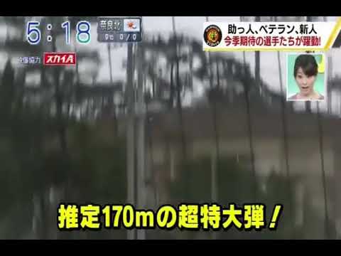 【阪神タイガース】ロサリオ推定170mホームラン！！