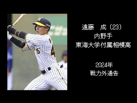 【阪神編】2019年ドラフト選手現在の成績