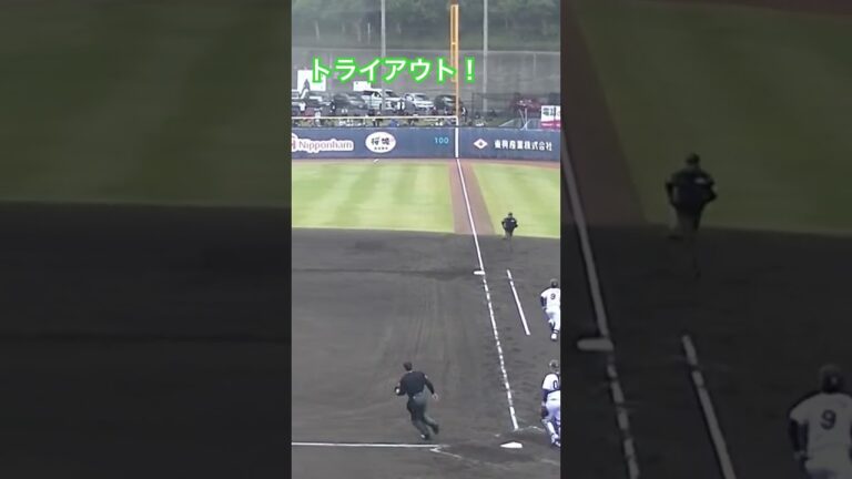 タイガース髙山俊この日2本目のヒットで猛アピール【プロ野球12球団合同トライアウト2023年11月15日】 #プロ野球