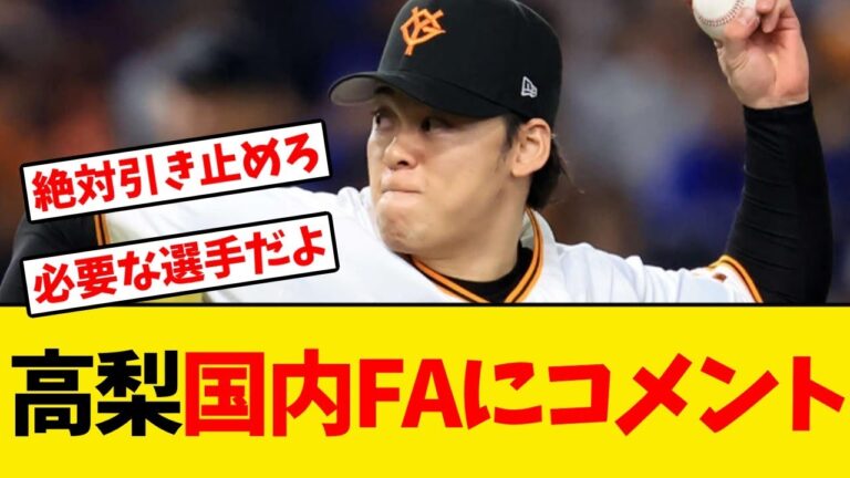 【巨人】高梨雄平、国内FAについてコメント