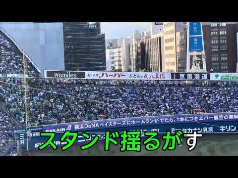 【東京ヤクルトスワローズ】並木秀尊 選手応援歌