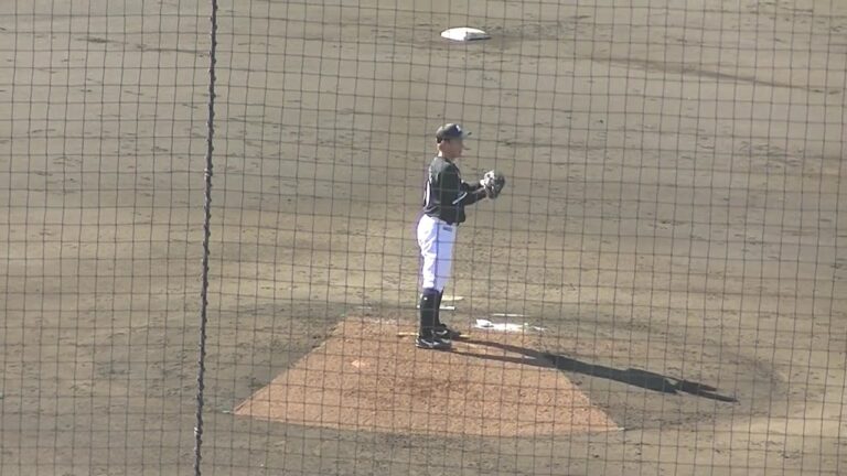【野球選手フォーム集】ロッテ中村稔弥の投球フォーム（2024年9月11日）