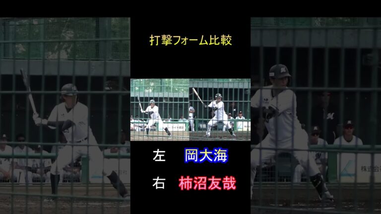 千葉ロッテ柿沼友哉と岡大海の打撃フォーム比較 #岡大海 #柿沼友哉 #千葉ロッテ