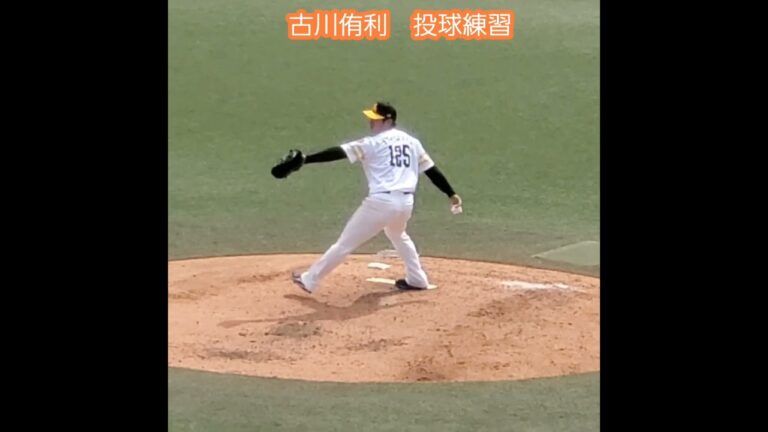 20240419　戦力外通告…　#古川侑利　#投球練習　#shorts　投球ﾌｫｰﾑ@ﾀﾏﾎｰﾑ ｽﾀｼﾞｱﾑ筑後［ｳｴｽﾀﾝ･ﾘｰｸﾞ 2軍戦］ﾀﾏｽﾀ筑後