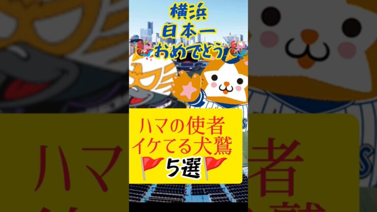 【＼横浜優勝／🚩】カラスコ早坂の横浜犬鷲５選⭐ #プロ野球 #東北楽天ゴールデンイーグルス #横浜denaベイスターズ #後藤武敏#伊藤裕季也#福山博之#渡辺直人#藤田一也 #野球#＼横浜優勝／