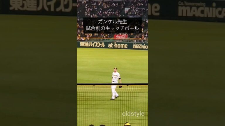 2021年10月20日 ガンケル先生試合前のキャッチボール vs広島カープ #阪神タイガース #ガンケル #広島カープ #福岡ソフトバンクホークス @sachi-jq2ss