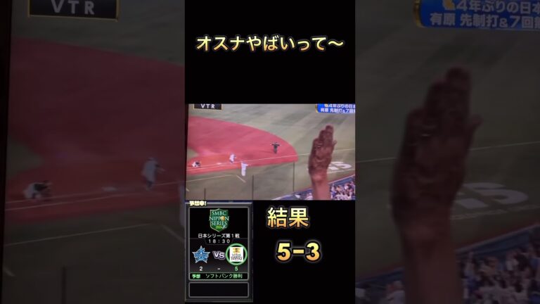 プロ野球　ソフトバンクVS DeNA オスナ選手やらかす