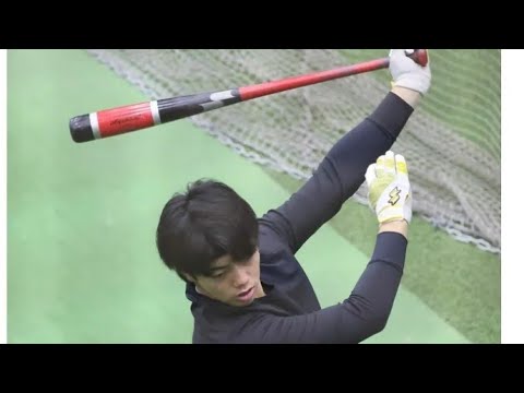 巨人】 現役続行を目指す菊田拡和「悔いのないように全力を」…１４日にトライアウト受験へ