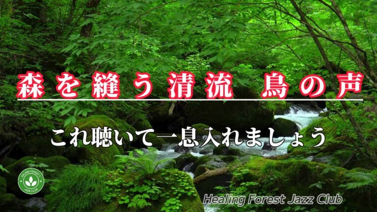 癒しの森ジャズクラブへようこそ！ライブ配信