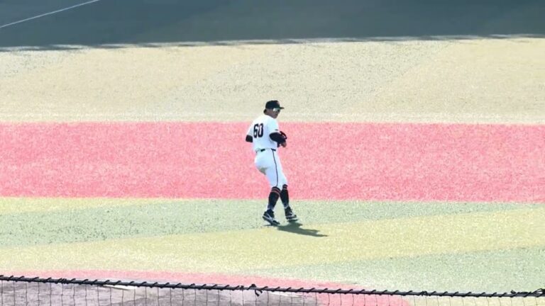 12球団合同トライアウト2024 シートノック