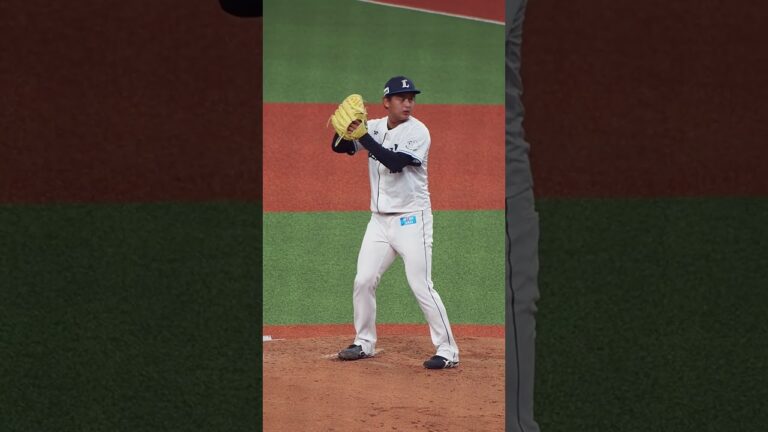 2024.06.22 埼玉西武-千葉ロッテ(ベルーナドーム) 井上広輝 投球シーン #seibulions #プロ野球