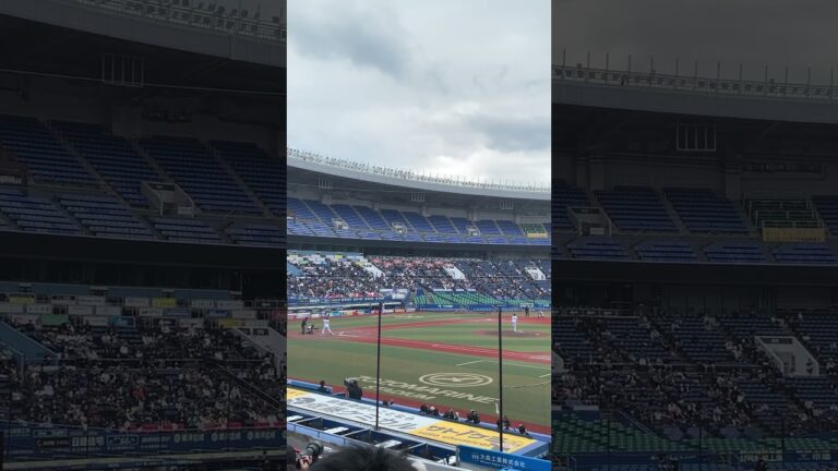 １２球団合同トライアウト  千葉ロッテマリーンズ　20東條大樹投手 投球風景　ZOZOマリンスタジアム  2024年11月14日