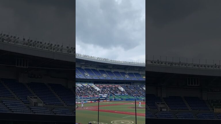 １２球団合同トライアウト  千葉ロッテマリーンズ　124古谷拓郎投手 投球風景　ZOZOマリンスタジアム  2024年11月14日