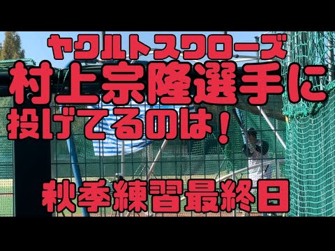 村上宗隆選手と池山隆寛二軍監督！ずっと見てられるwヤクルトスワローズ秋季練習最終日（2024年11月17日）