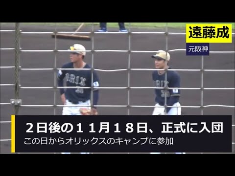 2024年オリックスバファローズ秋季キャンプ〈前編〉【入団決定の遠藤成も参加】
