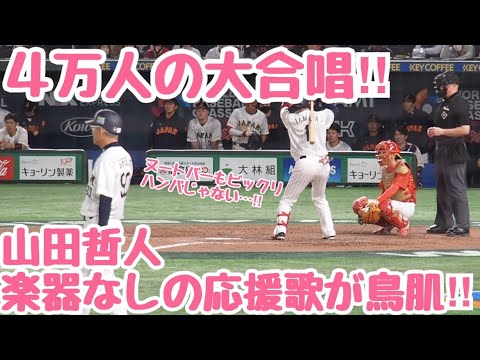 【応援歌】過去イチ‼︎山田哲人応援歌 4万人が楽器なしで山田哲人の応援歌を全力で歌う瞬間‼︎ 東京ドーム