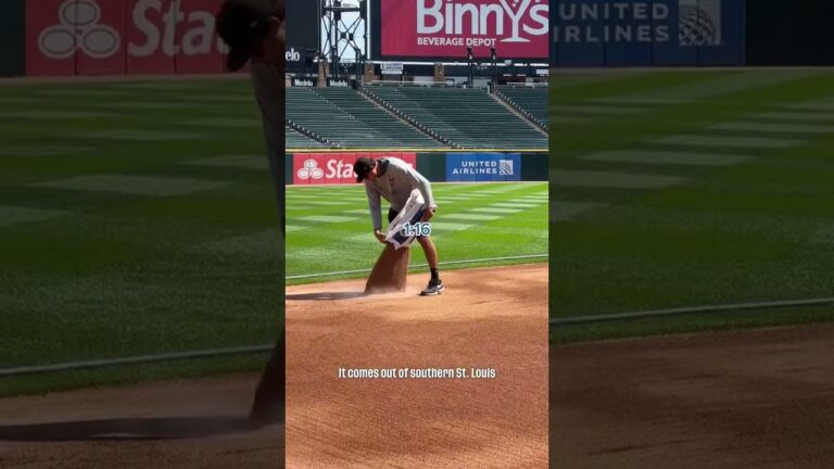 POV: ソッドファーザーが試合当日の準備を説明します (@whitesox/TT より)