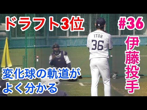 ドラフト３位、伊藤投手！変化球キレキレの投球練習！【西武ライオンズ春野キャンプ2018】
