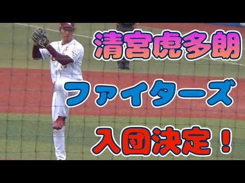 【現地動画】2024年12球団合同トライアウト② 午前の部