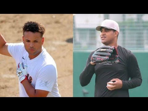 【巨人】メンデスとウレーニャが帰国と発表　今季限りで退団へ153コメント153件