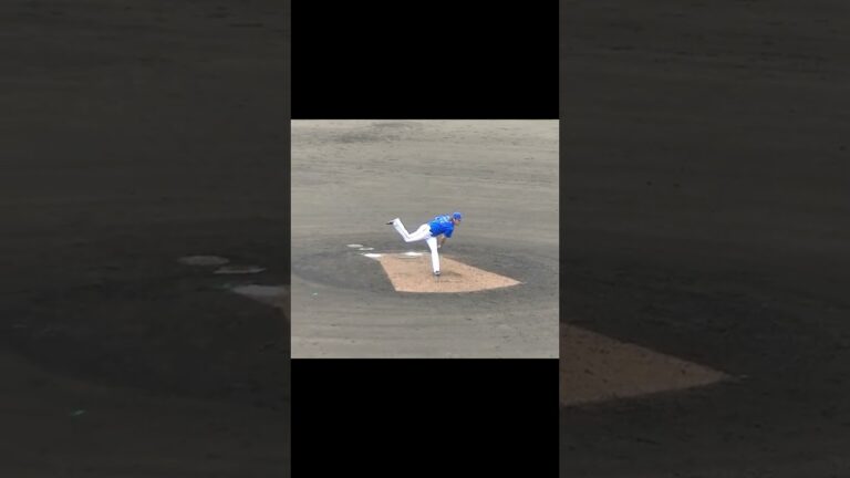 【野球選手フォーム集】DeNA堀岡隼人2024年の投球フォーム（2024年4月23日 日本ハムファイターズ対 横浜DeNAベイスターズ 2軍）