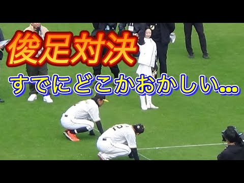 阪神タイガースファン感謝デー2024⑤　ボケまくりのリレー・短距離走