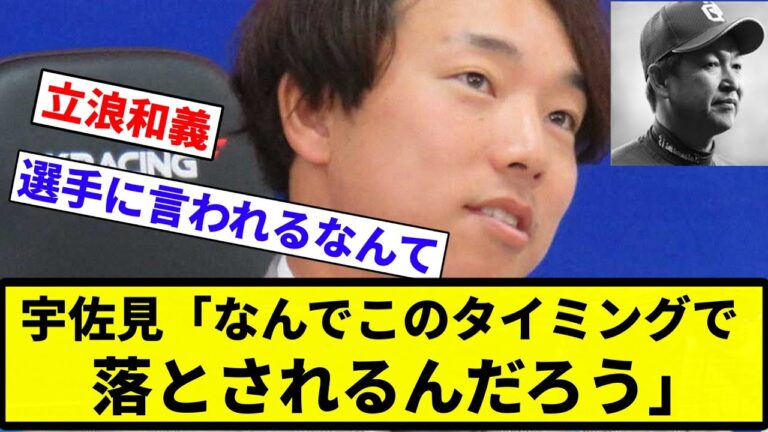 【お前 言っちゃったな】宇佐見「なんでこのタイミングで落とされるんだろう」【プロ野球反応集】【プロ野球反応集】