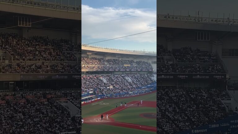 MARINES FAN FEST 2024  千葉ロッテマリーンズ　白黒野球対決  37小野郁投手、13平沢大河選手からホームランZOZOマリンスタジアム  2024年11月17日