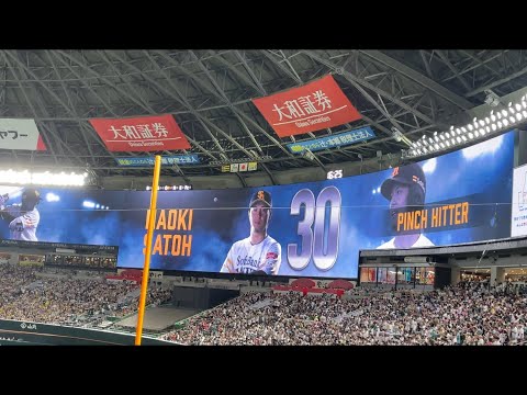 2024.6.16 佐藤直樹 登場曲 (最高到達点／SEKAI NO OWARI)