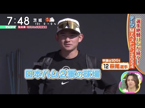【プロ野球】テーマ「Ｍｙベストパン２０２４」『ズームイン！！サタデー』2024年11月30日【𝐇𝐃】