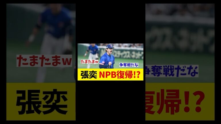 【プレミア12】台湾代表・張奕　NPB復帰の可能性！！！【野球情報】【2ch 5ch】【なんJ なんG反応】【野球スレ】