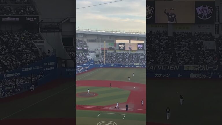 MARINES FAN FEST 2024  千葉ロッテマリーンズ　白黒野球対決  14小島和哉投手打撃風景　ZOZOマリンスタジアム  2024年11月17日