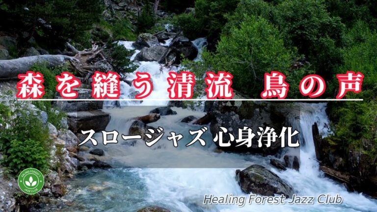 癒しの森ジャズクラブへようこそ！ライブ配信