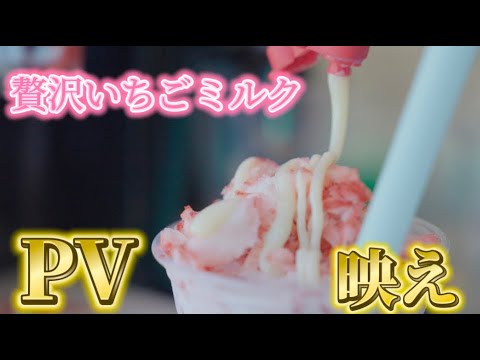 いちごがゴロっと！？贅沢いちごミルクPV