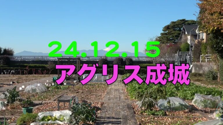 菜園だより241215アグリス成城