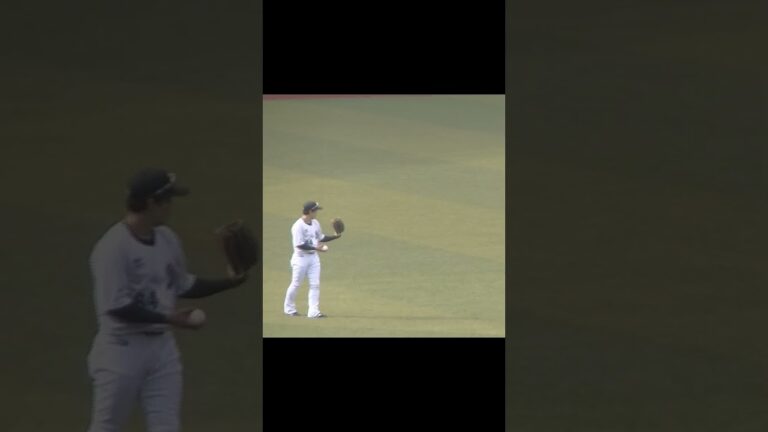 【合同トライアウト】鈴木将平と菅野剛士のキャッチボール 2024年プロ野球12球団合同トライアウト11月14日
