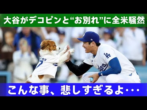 「大谷翔平とデコピンの突然のお別れに全米が衝撃！真美子夫人との1年間と2025年開幕戦への期待とは？」  野球インサイダーストーリー