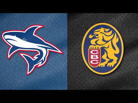LVBP EN VIVO ティブロネス デ ラ グアイラ vs レオネス デル カラカス (オーディオ サーキット ティブロネス)