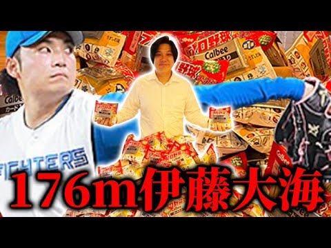 １７６「ｍ」の伊藤大海選手引くまでプロ野球チップス買いまくってみた
