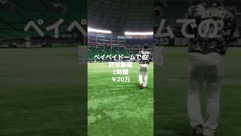 PayPayドーム Yahooドーム 草野球 福岡草野球チーム 福岡草野球 20万 SALE価格