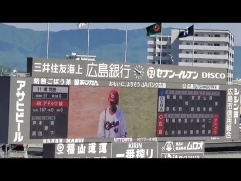 20240503　アドゥワ誠 打席時の登場曲【｢ダンシング･オールナイト｣／もんた&ブラザーズ】1回表　広島東洋ｶｰﾌﾟ@MAZDA Zoom-Zoom ｽﾀｼﾞｱﾑ広島･ﾋﾞｼﾞﾀｰﾊﾟﾌｫｰﾏﾝｽ
