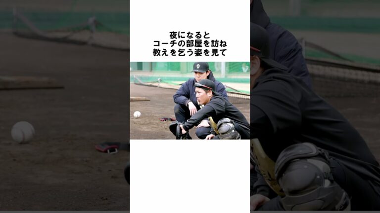 『育成の甲斐拓也とドラ1の山下斐紹』に関する雑学　#野球解説　#雑学　#甲斐拓也　#shorts　#山下斐紹　#野球雑学