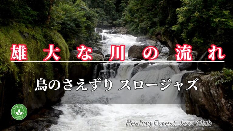 【作業用BGM】🌲🌲癒しの森でリラックス ＃220 / 雄大な川の流れ / 鳥のさえずり/ Jazz/心身浄化 / by AI