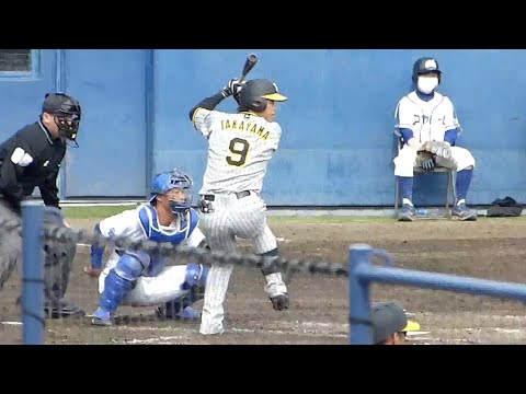 【阪神２軍】今季が正念場となる高山俊（2023.3.4）