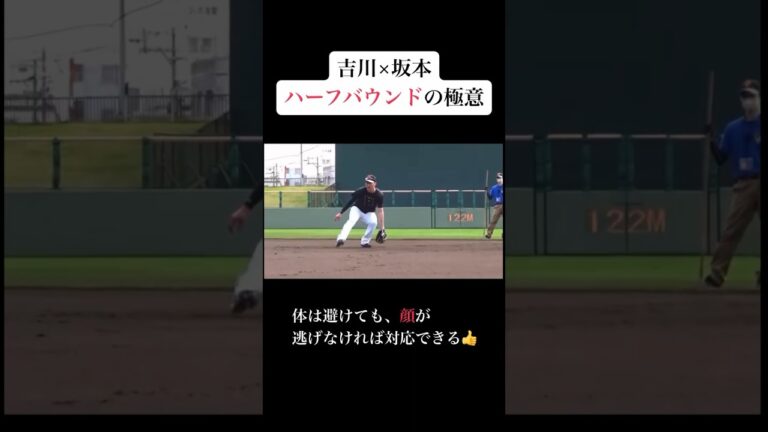 吉川×坂本ハーフバウンドの極意 #mlb #baseball #mlbbshorts