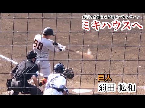 【豪快打撃まとめ】菊田拡和 (巨人) パワーが魅力の「常総のバレンタイン」がミキハウスへ！