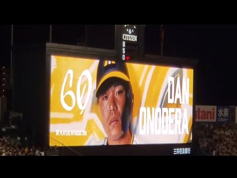 20240530　小野寺暖 奇数打席の登場曲【｢DAN DAN 心魅かれてく｣／FIELD OF VIEW】　6回ｳﾗ第3打席　阪神ﾀｲｶﾞｰｽ@阪神甲子園球場･ﾚﾌﾄ外野 日本生命ｾ･ﾊﾟ交流戦