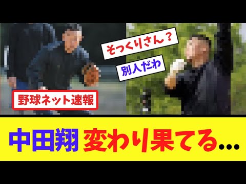 中田翔変わり果てる...【ネット反応集】