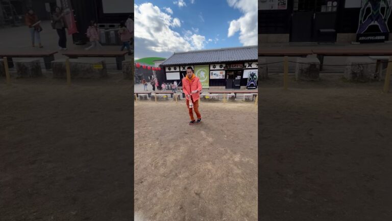 羽子板で遊んでみた　30代京都vlog 京都観光　京都旅行　名古屋から京都へ日帰り旅行　ルーティン　遊び方　楽しみ方　暇つぶし　スポーツ　晴れ　いい天気　大人の遊び　時間潰し　学生の遊び　爆笑　幸せ