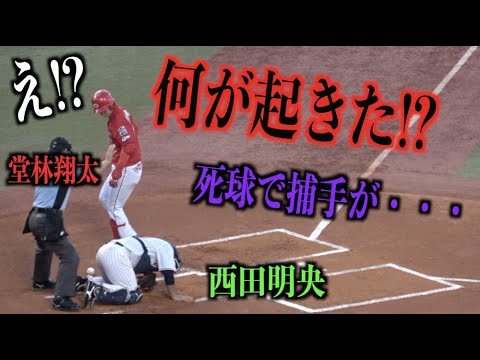 一体何が起きた!?堂林翔太に死球が当たったのに西田明央が痛がる・・・【広島東洋カープ】
